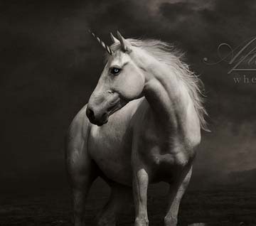 如何购买不翻车的短信压力测试器