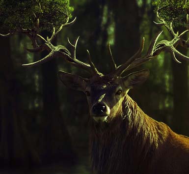 在线短信轰炸测试